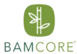 bamcore_logo_257x181.png